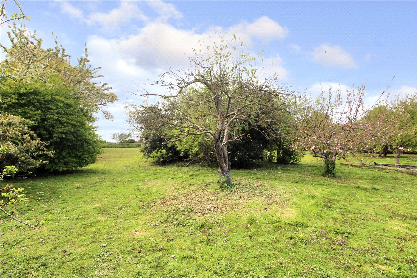 Grounds